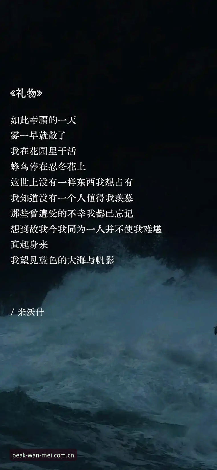 黑泽汀的清晨，雾气还没散尽，练球区已经传来清脆的击球声。内莉·科达站在练习果岭上，短杆一推，小白球滚了四码，精准入洞。她弯腰捡球，脸上没有多余表情，仿佛这只是一次呼吸，而不是大满贯赛前最后的热身。27岁，9次参赛4次夺冠，连赢两场大满贯，如果再赢下这一站，距离LPGA名人堂只差一胜——这不是压力，是写在球场上的事实。可她教练说过一句话：大满贯的坑，从来不是技术挖的，是心态埋的。